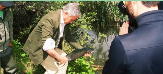 Ecologistas abandonan el Consejo de Pesca Fluvial de la Comunidad de Madrid