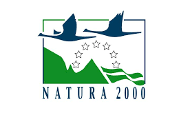La Red Natura 2000 para las aves marinas, diez años después