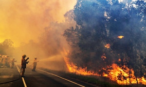 Cada vez más días propicios para incendios «catastróficos» en Australia