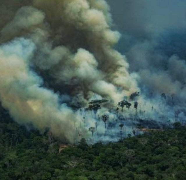 2019: El año en el que los grandes incendios forestales han evidenciado la emergencia climática